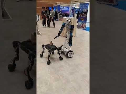 wheeled humanoid robot is alterego